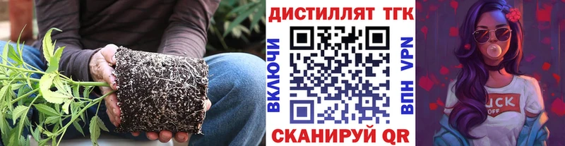 дарнет шоп  Барнаул  ТГК Wax 