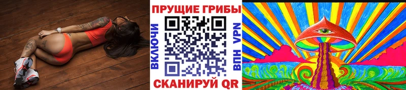 Галлюциногенные грибы Psilocybine cubensis  Барнаул 