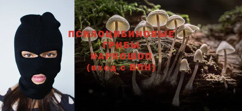 Галлюциногенные грибы Magic Shrooms  продажа наркотиков  Барнаул 