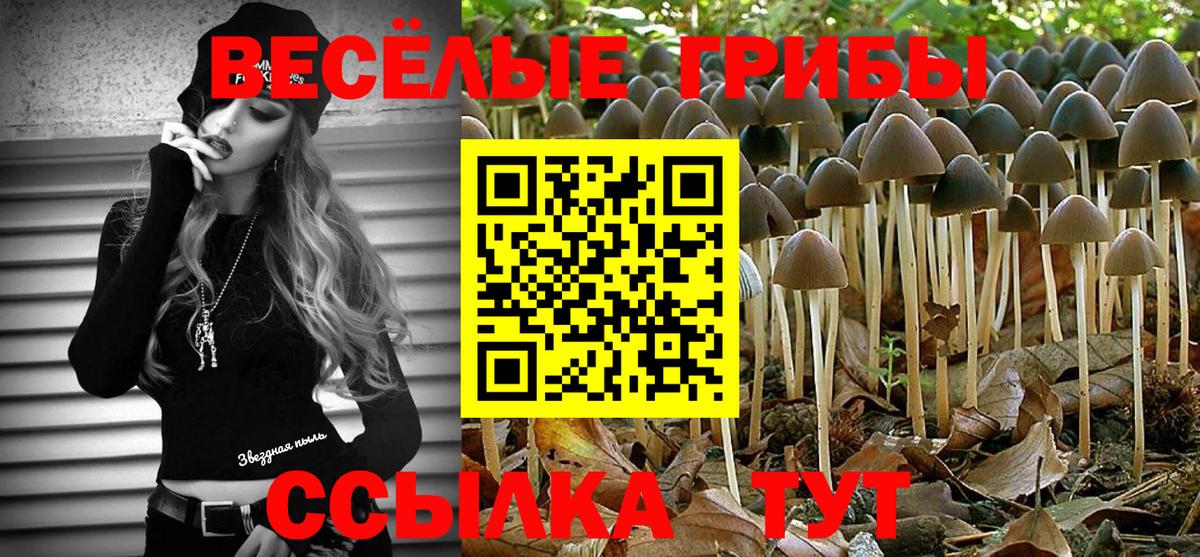 Галлюциногенные грибы ЛСД  наркотики  Барнаул  Вход с VPN 