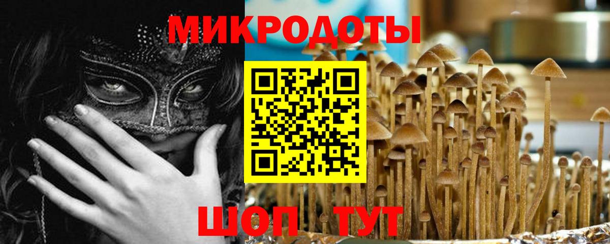 Псилоцибиновые грибы Psilocybine cubensis Барнаул